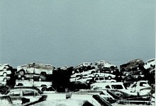 dmoll038 web