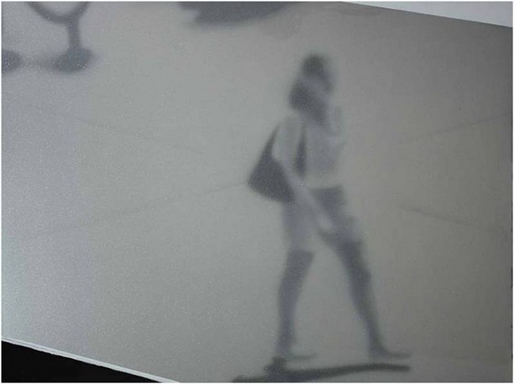 Penelope Gottlieb, Ella (She)
2004, Acrylic and enamel on alloy aluminum