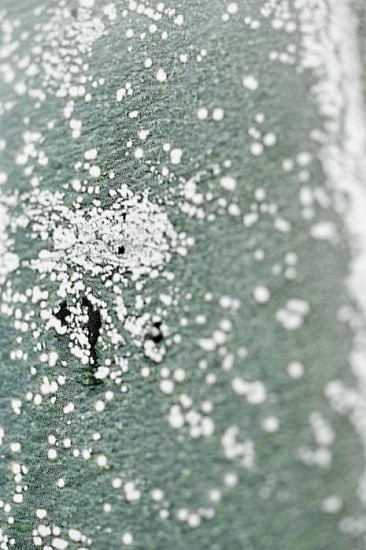 Thomas Zika, Bathers, #9
2003, Lambda print on diasec