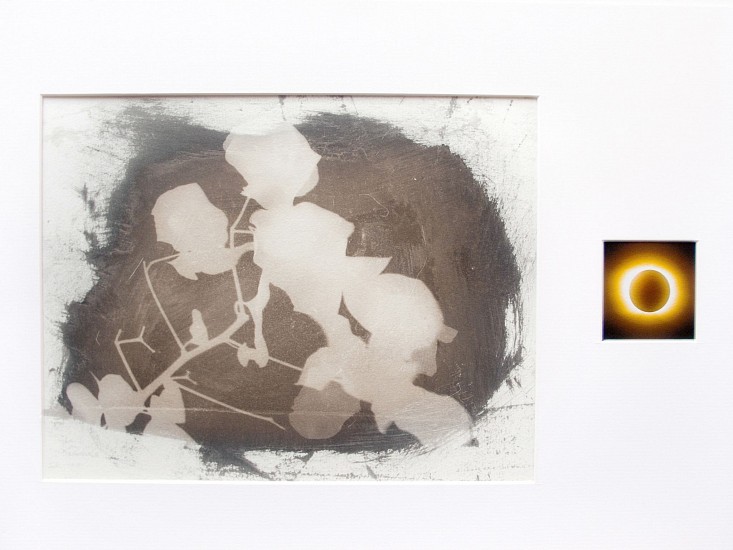 Neha Choksi, Houseplant and Sun Quotation 5
2013, Sunlight on palladium treated paper paired with a digital image