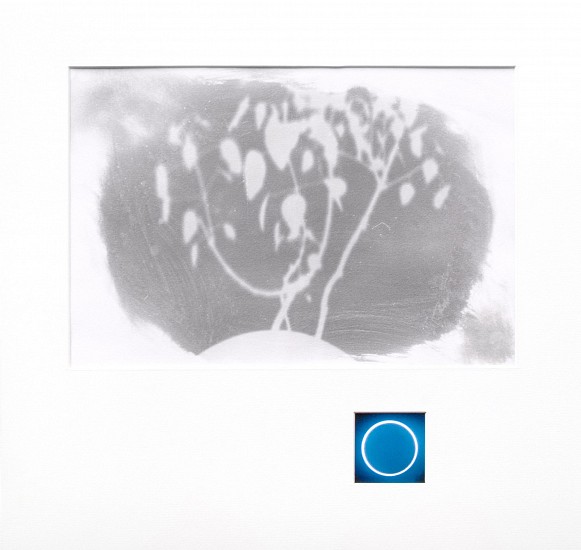Neha Choksi, Houseplant and Sun Quotation 7
2013, Sunlight on palladium treated paper paired with a digital image
