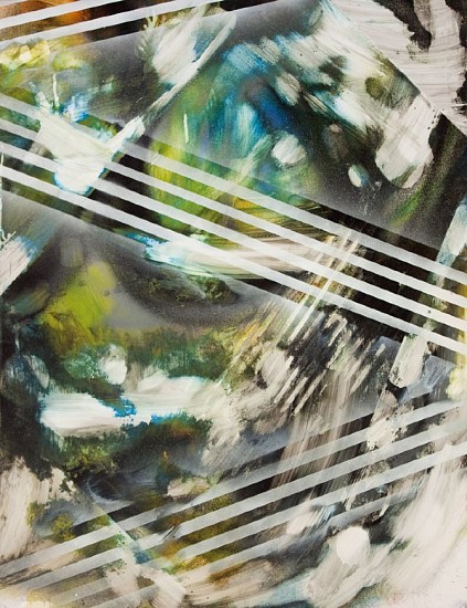 Chris Trueman, Natural Selection #48
2012, Acrylic and acrylic spary paint on Yupo paper