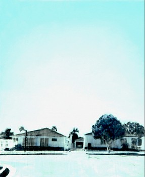 DMOLL074 web